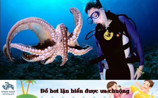 Đồ bơi lặn biển được ưa chuộng